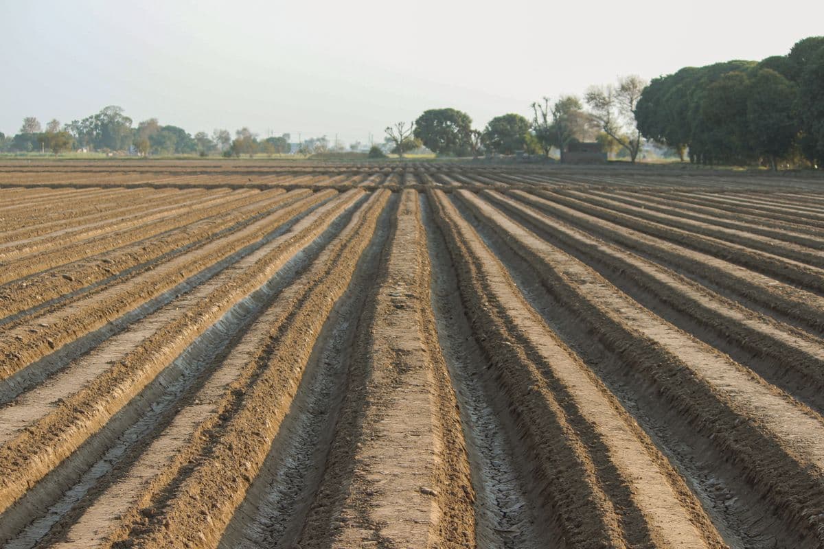 Agriculture & Soil