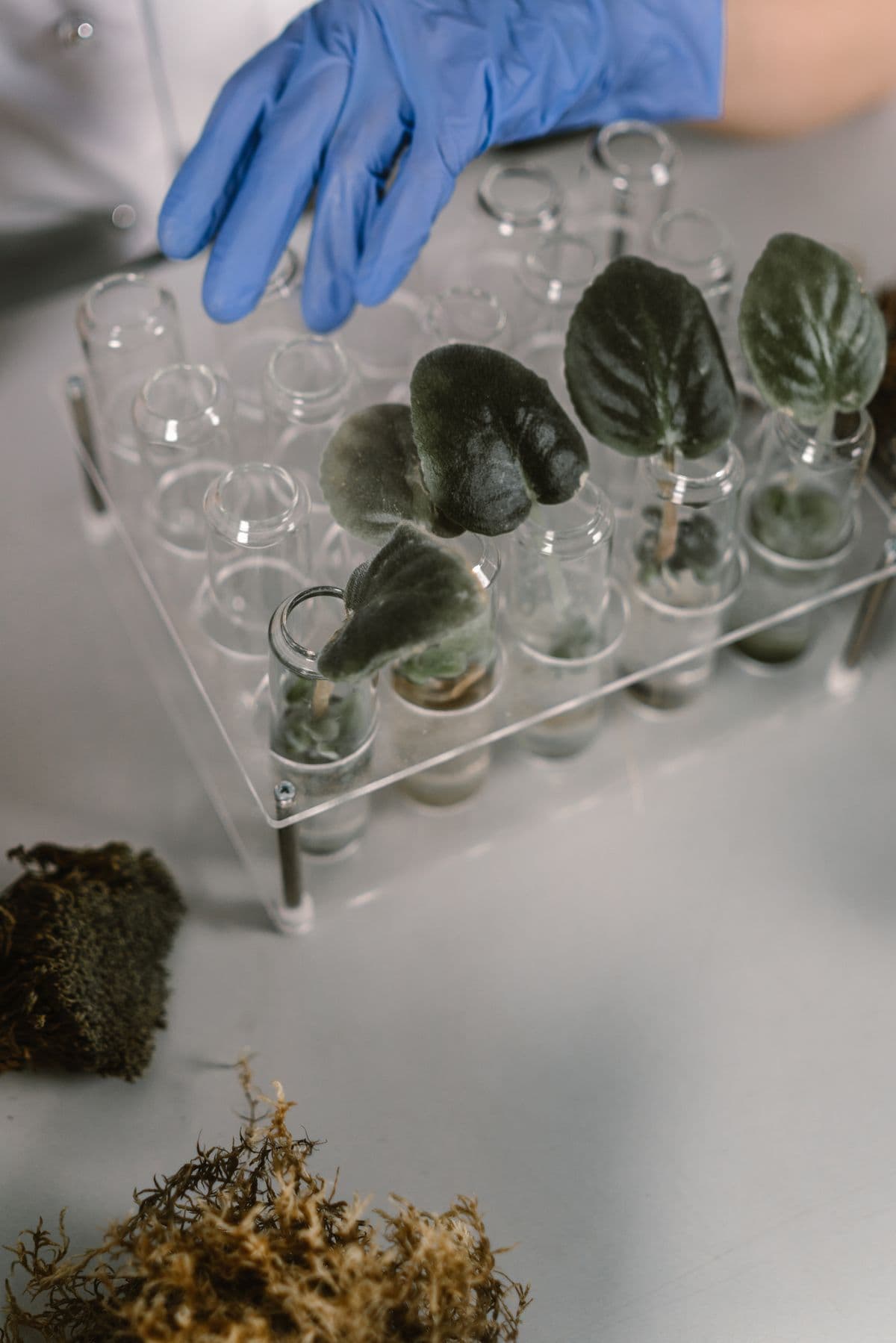 Environmental Testing